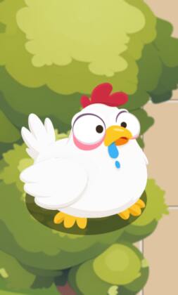Rota do Frango